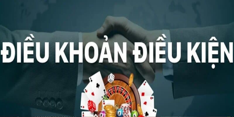 Vai trò của điều khoản điều kiện